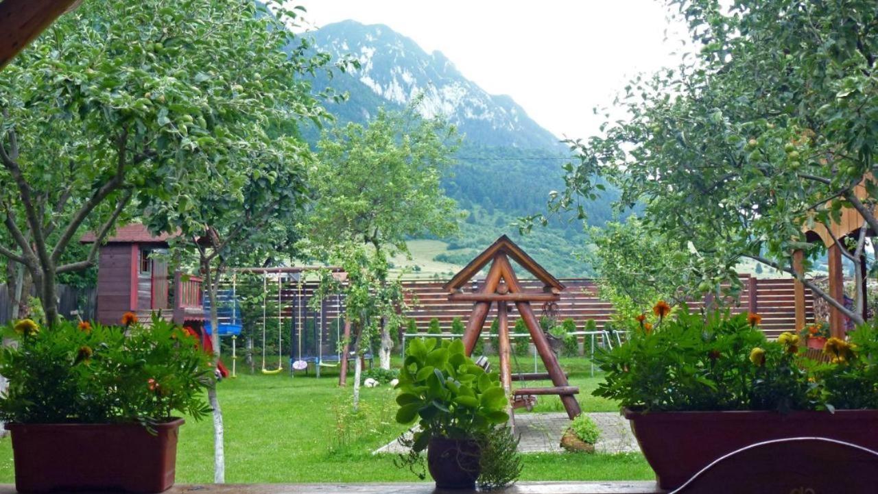 Sura Pietrei Craiului 호텔 Zărneşti 외부 사진