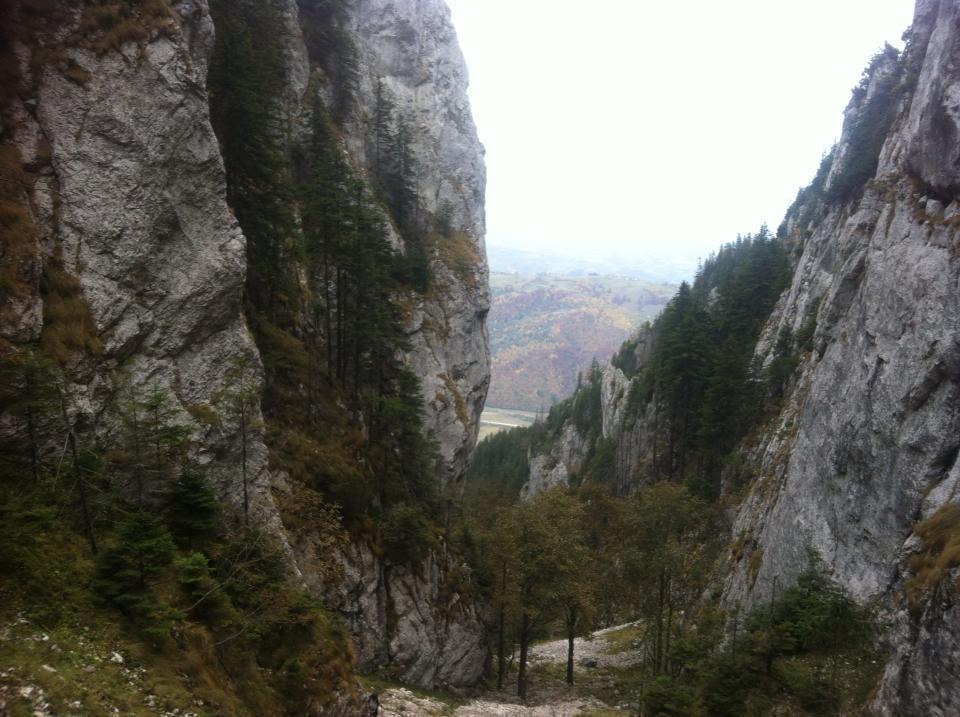 Sura Pietrei Craiului 호텔 Zărneşti 외부 사진